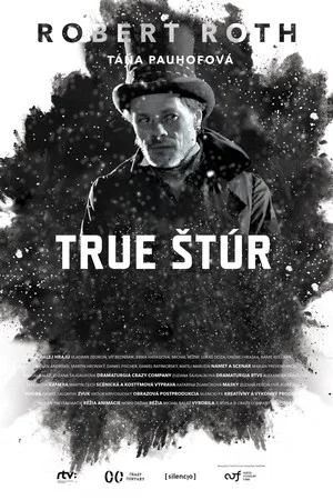 Постер: True Štúr