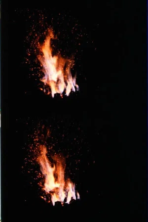 Постер: Fire