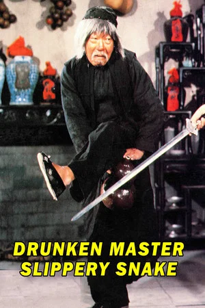 Постер: Mad Mad Kung Fu
