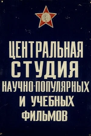 Постер: Основы классического танца