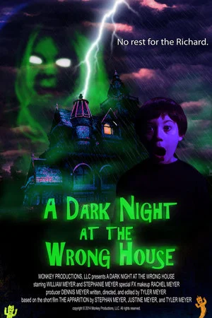 Постер: A Dark Night at the Wrong House