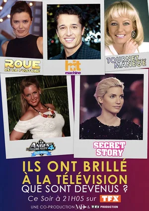 Постер: Ils ont brillé à la télé : que sont-ils devenus ?