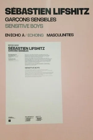 Постер: Sensitive Boys