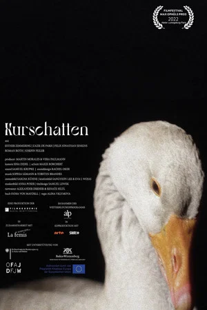 Постер: Kurschatten