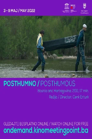 Постер: Posthumous