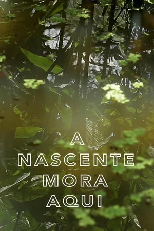 Постер: A Nascente Mora Aqui
