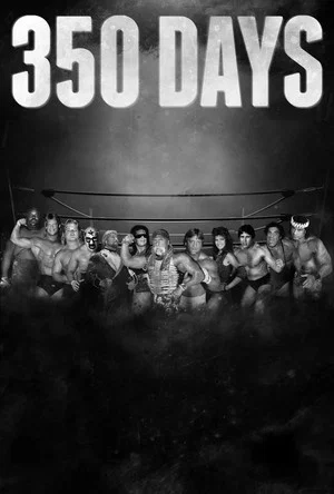 Постер: 350 Days