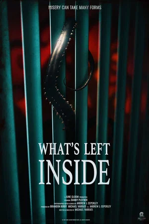 Постер: What's Left Inside