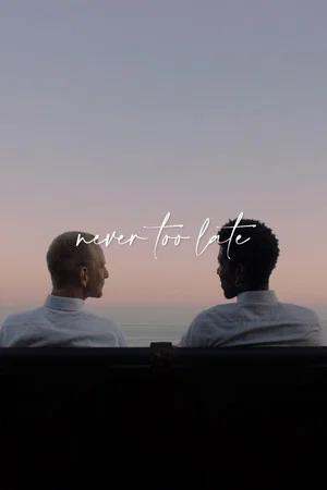 Постер: Never Too Late