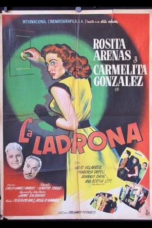 Постер: La ladrona
