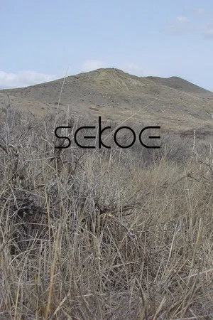 Постер: Sekoe: My Home