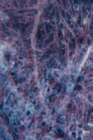 Постер: Ecosystem 7 ~ A sedimentary Heat