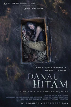Постер: Black Lake