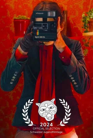 Постер: Diary of a Photobooth