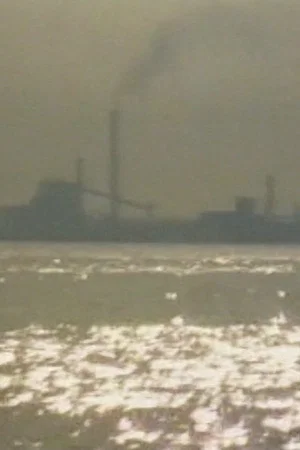 Постер: Porto Marghera, il lavoro contro la vita