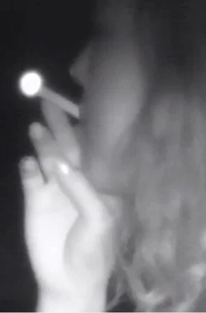Постер: How to Document Exciting Pervert Lecture: The Art of Finger Blaming