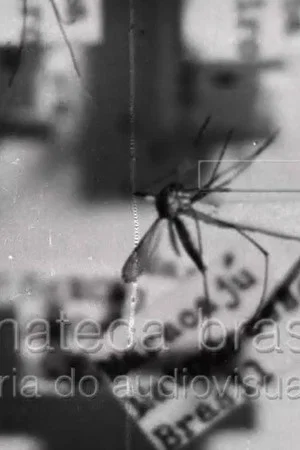 Постер: Febre Amarela II