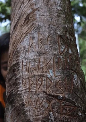 Постер: Forrest Now