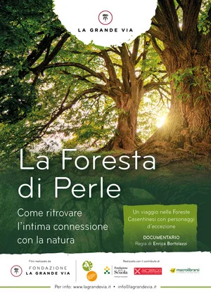 Постер: La foresta di perle