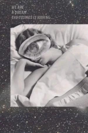 Постер: We Are a Dream the Cosmos is Having