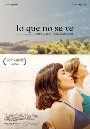 Постер: Lo que no se ve