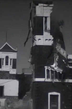Постер: The Destruction of St. Patrick's College 1971