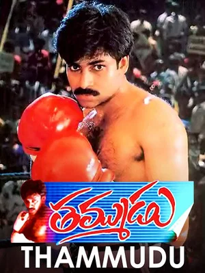 Постер: Thammudu