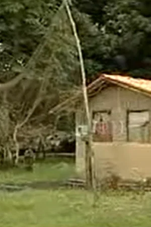 Постер: Cidades Amazônicas