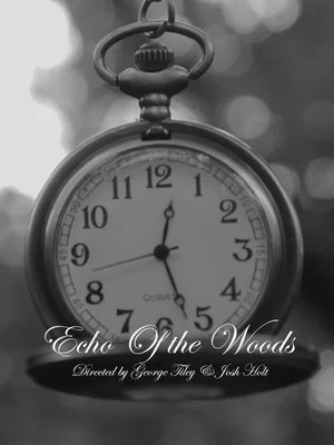 Постер: Echo of The Woods