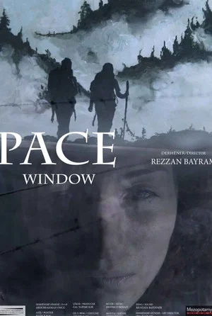 Постер: Window