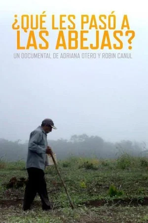 Постер: What Happened to the Bees?
