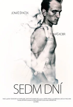 Постер: Seven Days