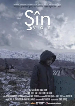 Постер: Şîn