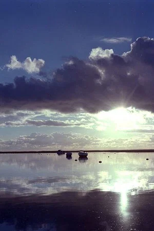 Постер: Estuary