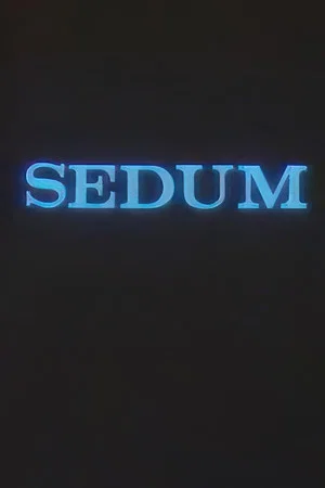 Постер: The Seven