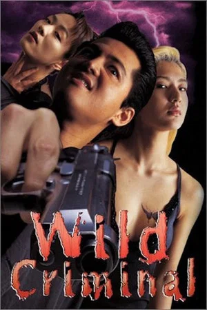 Постер: Wild Criminal