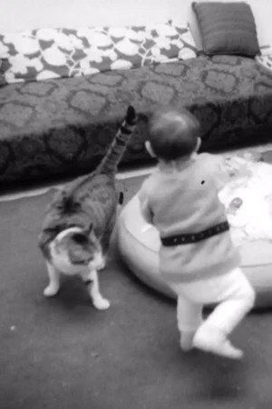 Постер: Lexiomatia