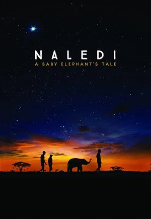 Постер: Naledi: A Baby Elephant's Tale