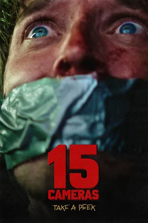 Постер: 15 камер