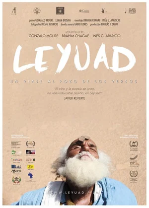 Постер: Leyuad: a trip to the verses well