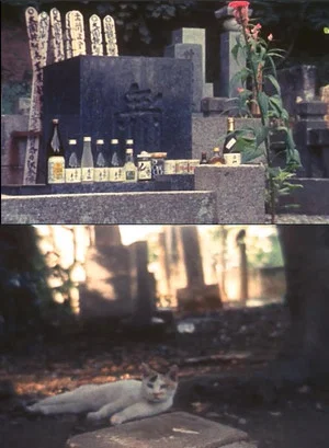 Постер: Tokyo, Late Summer