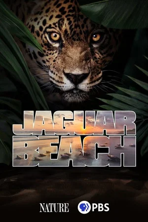 Постер: Jaguar Beach‎