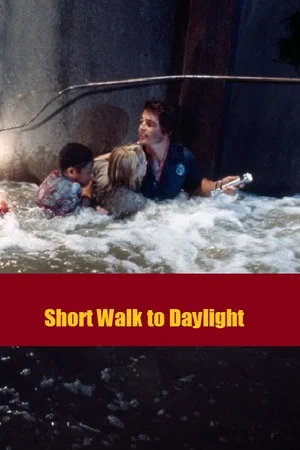 Постер: Short Walk to Daylight