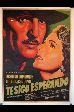 Постер: Te Sigo Esperando