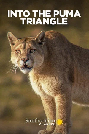 Постер: Into the Puma Triangle