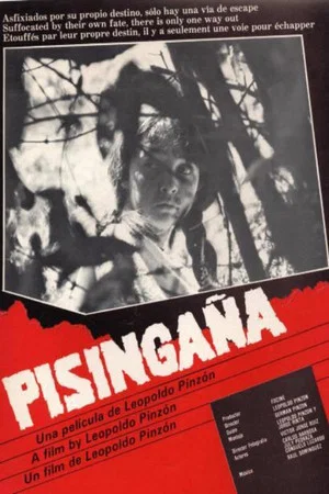 Постер: Pisingaña
