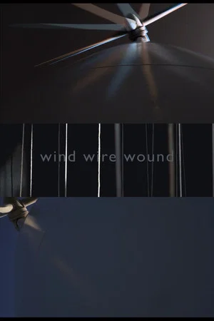 Постер: WIND WIRE WOUND