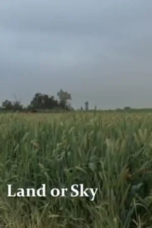 Постер: Land or Sky