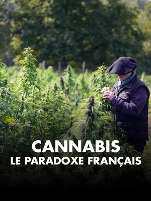 Постер: Cannabis, un paradoxe français