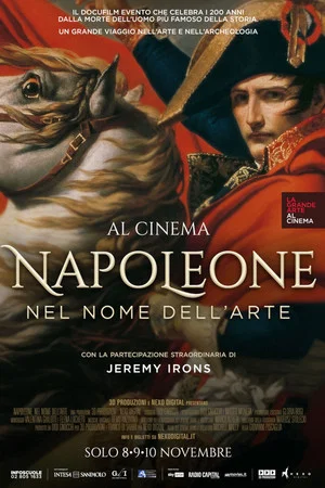 Постер: Napoleon: In the Name of Art
